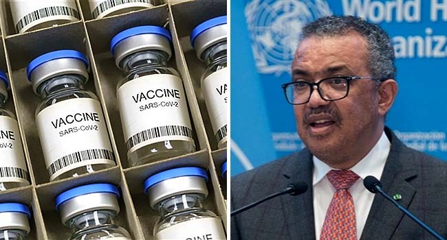 Nigeria to begin production of vaccine